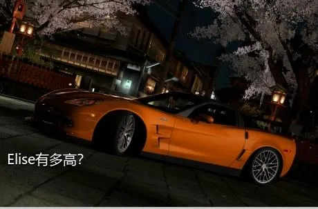 Elise有多高？