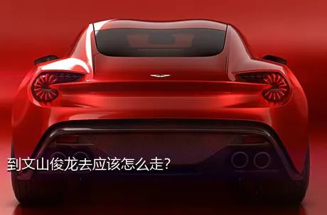 到文山俊龙去应该怎么走？