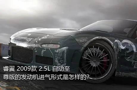 睿翼 2009款 2.5L 自动至尊版的发动机进气形式是怎样的？