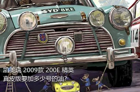 凯美瑞 2009款 200E 精英真皮版要加多少号的油？