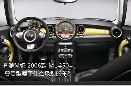 奔驰M级 2006款 ML 350 尊贵型属于什么级别的车？