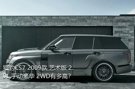 猎豹CS7 2009款 艺术版 2.0L 手动豪华 2WD有多高？