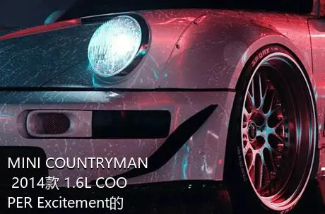 MINI COUNTRYMAN 2014款 1.6L COOPER Excitement的轮胎是多大的？