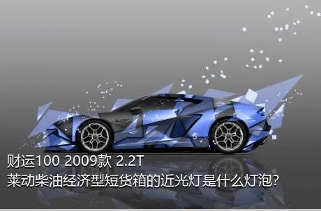 财运100 2009款 2.2T莱动柴油经济型短货箱的近光灯是什么灯泡？