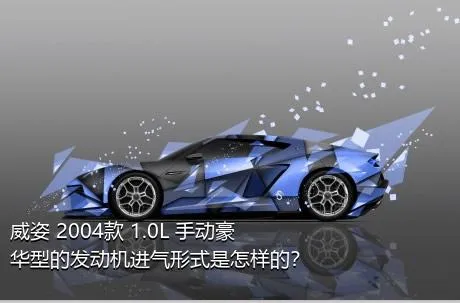 威姿 2004款 1.0L 手动豪华型的发动机进气形式是怎样的？