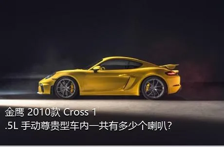 金鹰 2010款 Cross 1.5L 手动尊贵型车内一共有多少个喇叭？