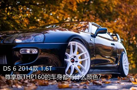 DS 6 2014款 1.6T 尊享版THP160的车身都有什么颜色？