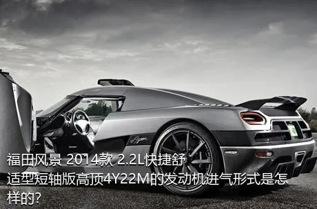 福田风景 2014款 2.2L快捷舒适型短轴版高顶4Y22M的发动机进气形式是怎样的？