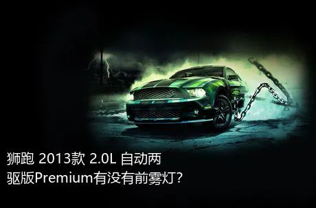 狮跑 2013款 2.0L 自动两驱版Premium有没有前雾灯？