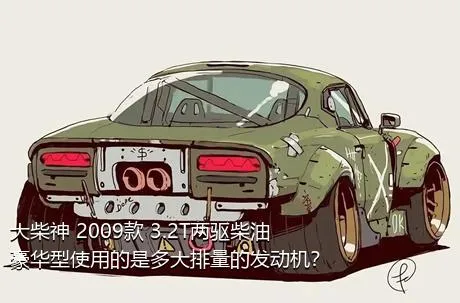 大柴神 2009款 3.2T两驱柴油豪华型使用的是多大排量的发动机？