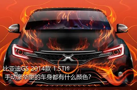 比亚迪G5 2014款 1.5TI 手动豪华型的车身都有什么颜色？