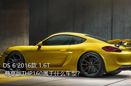 DS 6 2016款 1.6T 尊享版THP160属于什么车型？