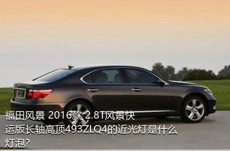 福田风景 2016款 2.8T风景快运版长轴高顶493ZLQ4的近光灯是什么灯泡？