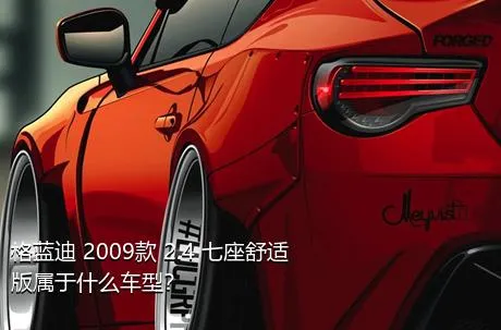 格蓝迪 2009款 2.4 七座舒适版属于什么车型？
