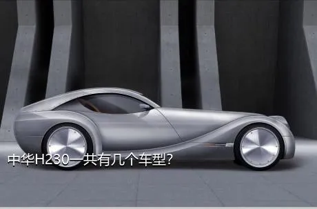 中华H230一共有几个车型？