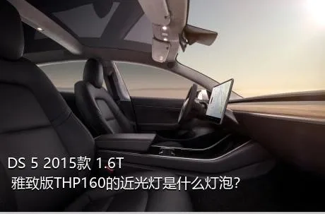DS 5 2015款 1.6T 雅致版THP160的近光灯是什么灯泡？