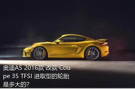 奥迪A5 2016款 改款 Coupe 35 TFSI 进取型的轮胎是多大的？