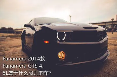 Panamera 2014款 Panamera GTS 4.8L属于什么级别的车？