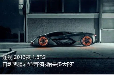 途观 2013款 1.8TSI 自动两驱豪华型的轮胎是多大的？