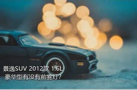 景逸SUV 2012款 1.6L 豪华型有没有前雾灯？