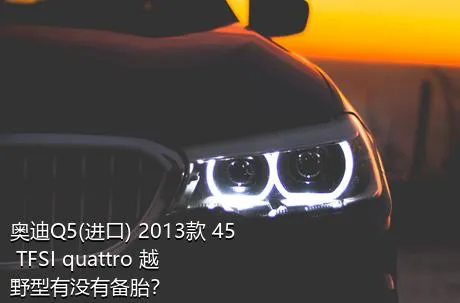 奥迪Q5(进口) 2013款 45 TFSI quattro 越野型有没有备胎？