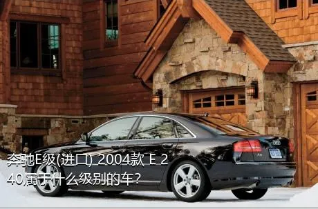 奔驰E级(进口) 2004款 E 240属于什么级别的车？