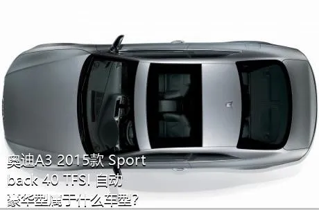 奥迪A3 2015款 Sportback 40 TFSI 自动豪华型属于什么车型？