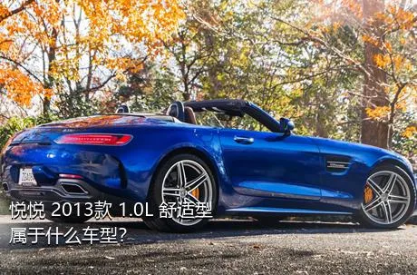 悦悦 2013款 1.0L 舒适型属于什么车型？