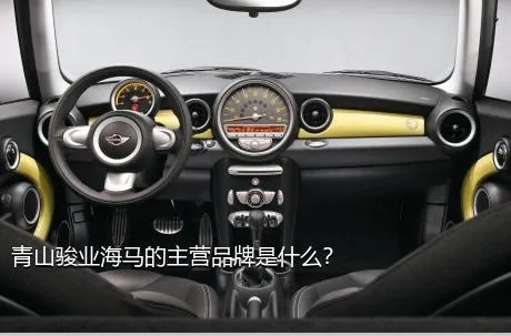 青山骏业海马的主营品牌是什么？