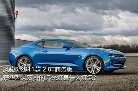 风骏5 2011款 2.8T商务版 豪华型大双排的远光灯是什么灯泡？
