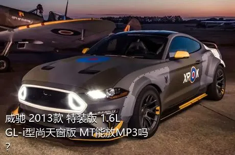 威驰 2013款 特装版 1.6L GL-i型尚天窗版 MT能放MP3吗？