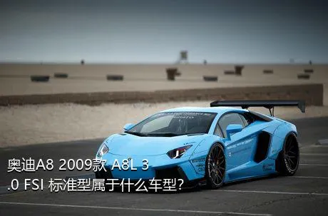 奥迪A8 2009款 A8L 3.0 FSI 标准型属于什么车型？