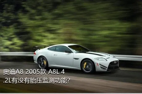 奥迪A8 2005款 A8L 4.2L有没有胎压监测功能？