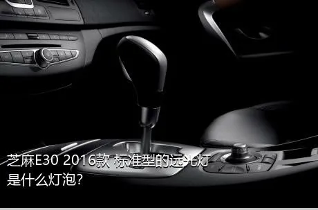 芝麻E30 2016款 标准型的远光灯是什么灯泡？