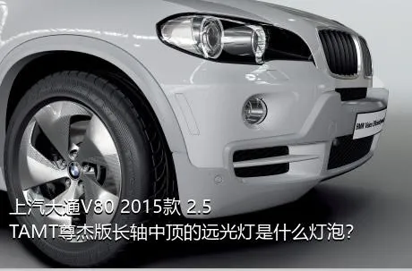 上汽大通V80 2015款 2.5TAMT尊杰版长轴中顶的远光灯是什么灯泡？