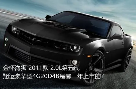 金杯海狮 2011款 2.0L第五代翔运豪华型4G20D4B是哪一年上市的？