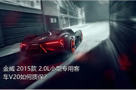 金威 2015款 2.0L小型专用客车V20如何质保？