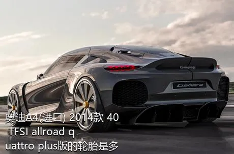 奥迪A4(进口) 2014款 40 TFSI allroad quattro plus版的轮胎是多大的？