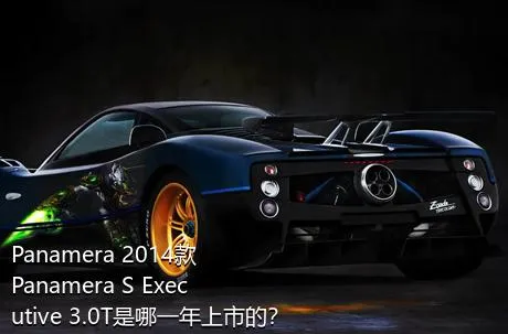 Panamera 2014款 Panamera S Executive 3.0T是哪一年上市的？