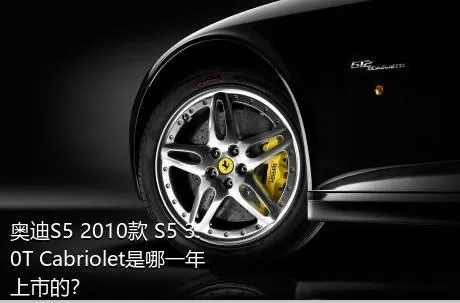 奥迪S5 2010款 S5 3.0T Cabriolet是哪一年上市的？