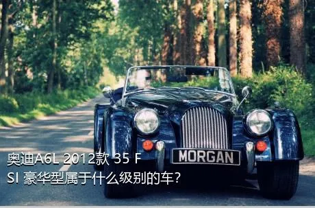 奥迪A6L 2012款 35 FSI 豪华型属于什么级别的车？