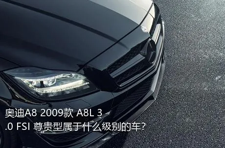 奥迪A8 2009款 A8L 3.0 FSI 尊贵型属于什么级别的车？