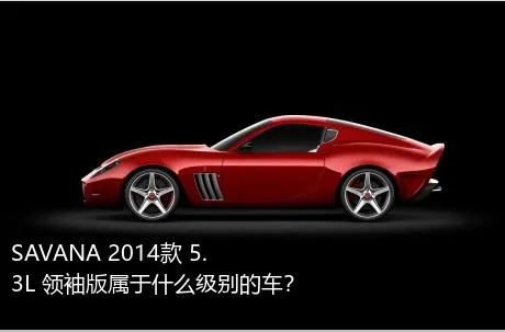 SAVANA 2014款 5.3L 领袖版属于什么级别的车？