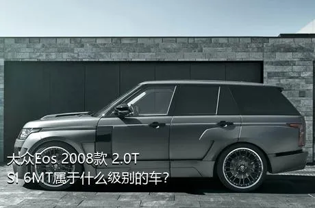 大众Eos 2008款 2.0TSI 6MT属于什么级别的车？