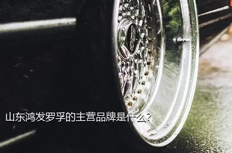 山东鸿发罗孚的主营品牌是什么？