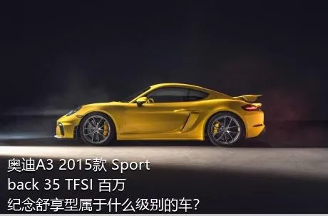 奥迪A3 2015款 Sportback 35 TFSI 百万纪念舒享型属于什么级别的车？
