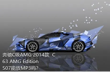 奔驰C级AMG 2014款  C 63 AMG Edition 507能放MP3吗？