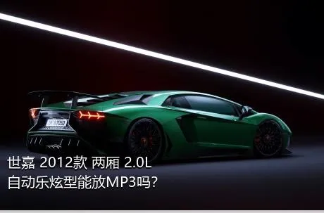 世嘉 2012款 两厢 2.0L 自动乐炫型能放MP3吗？