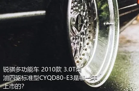 锐骐多功能车 2010款 3.0T柴油四驱标准型CYQD80-E3是哪一年上市的？