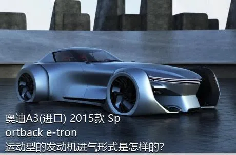 奥迪A3(进口) 2015款 Sportback e-tron 运动型的发动机进气形式是怎样的？